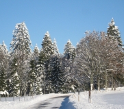 Paysages d'hiver